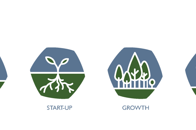 Phases of Council Development