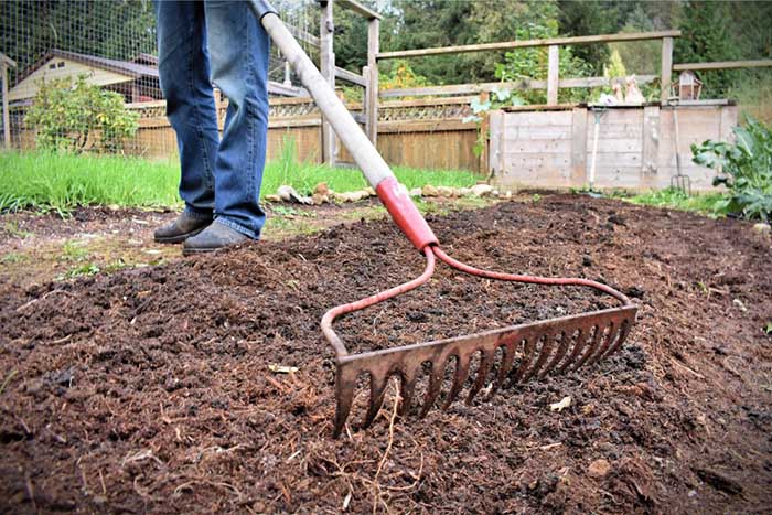 prepare soil for vegetable gardens